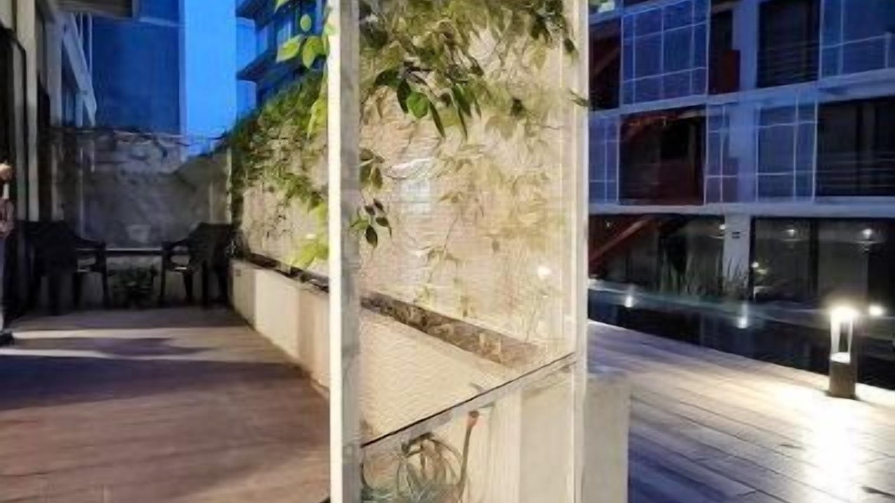 Photo of Outdoor in Zona 16
