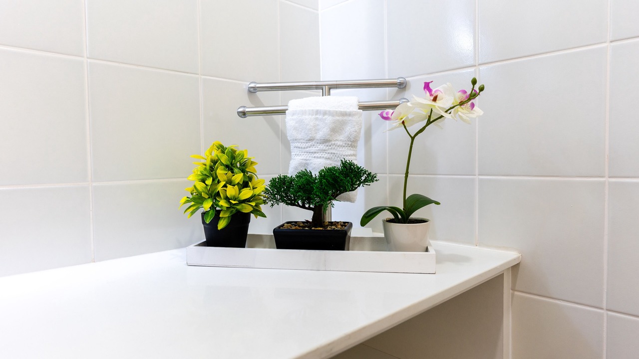 Photo of Bathroom in Zona 13