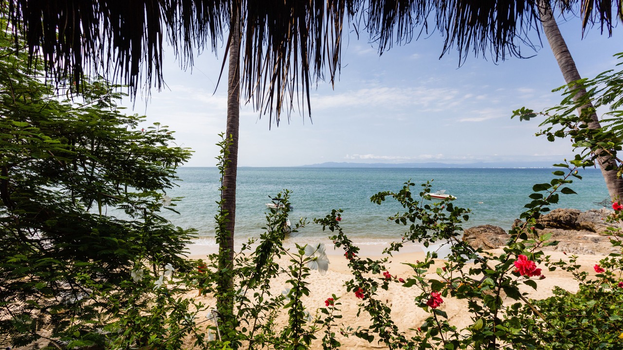 Photo of Livingroom in Puerto Vallarta