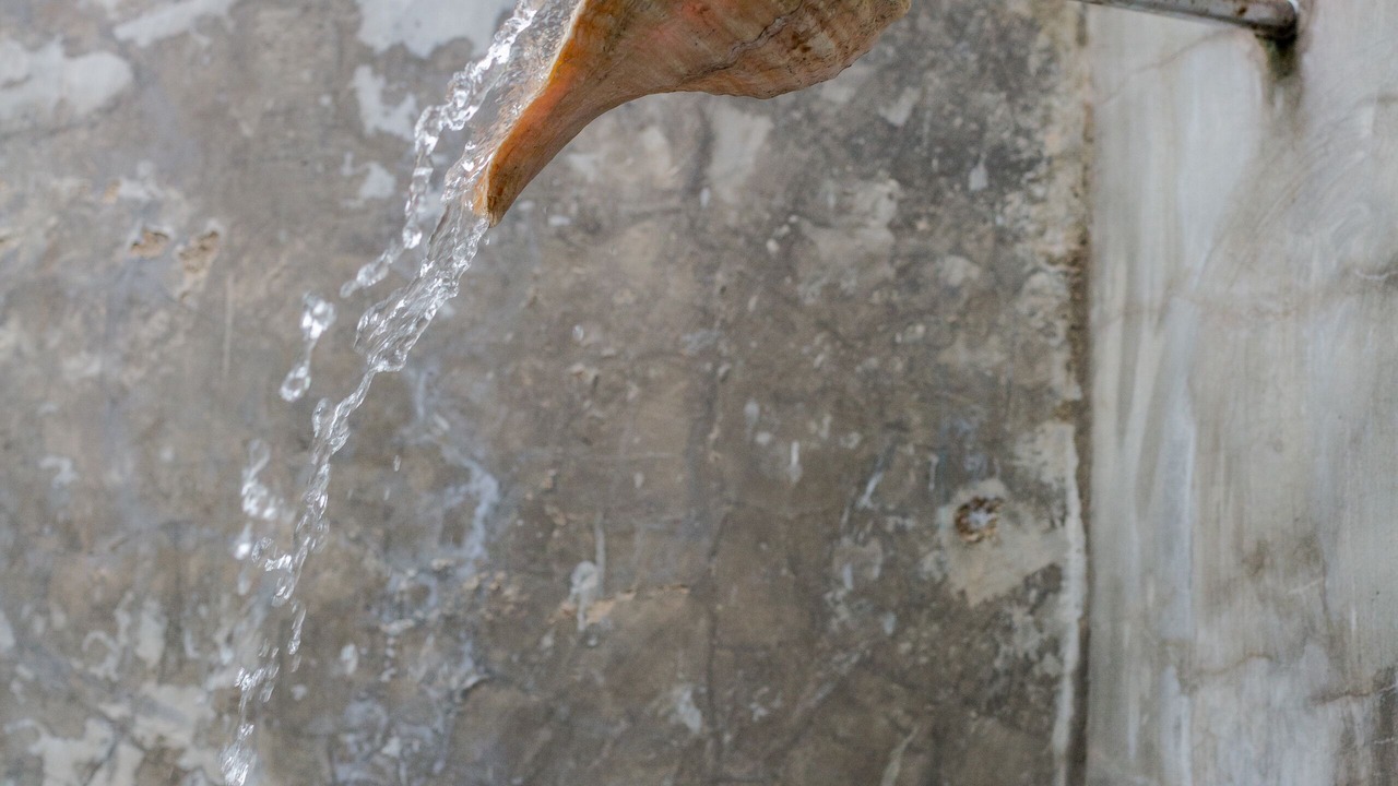 Photo of Bathroom in Puerto Vallarta