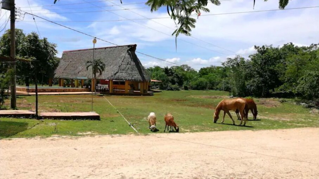 Photo of Outdoor in Chichimila