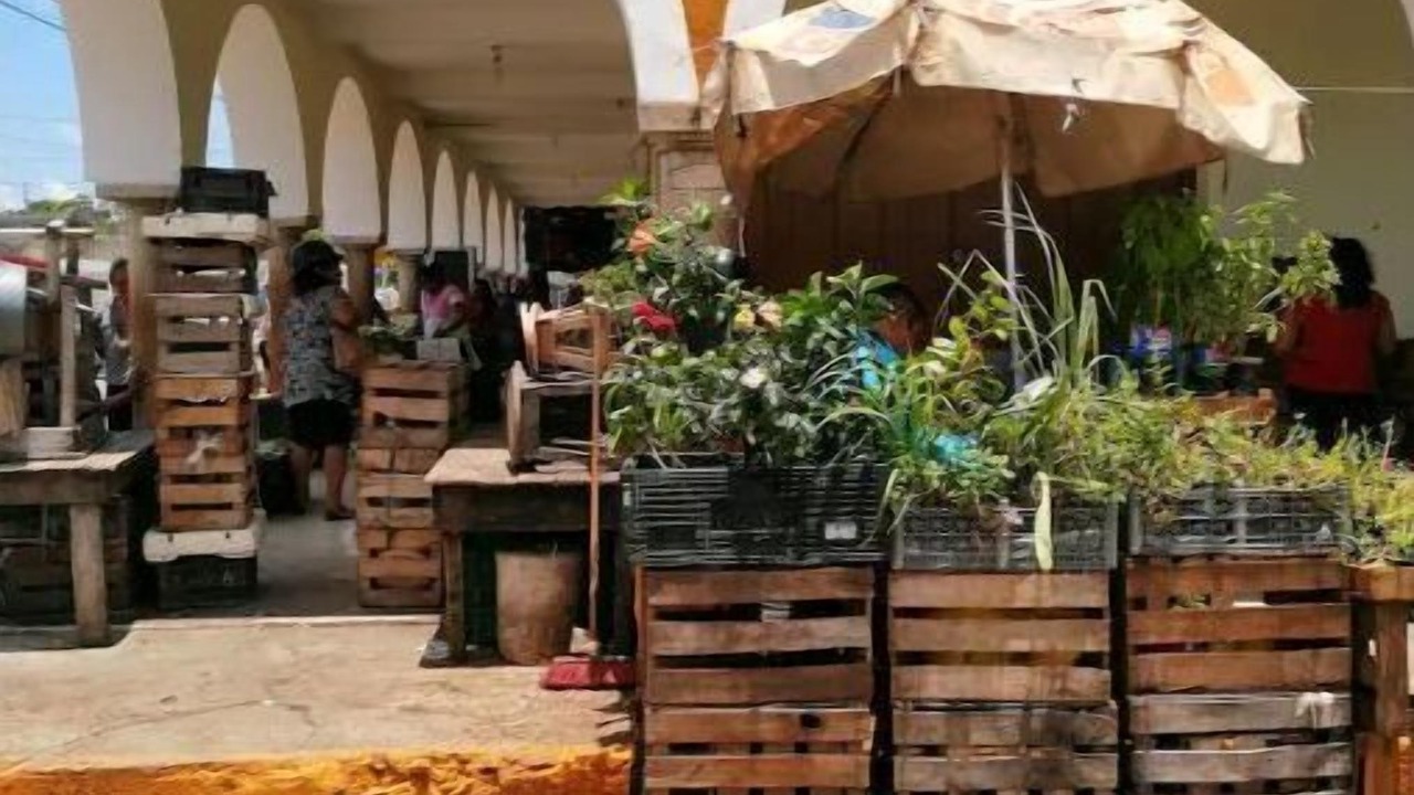 Photo of Outdoor in Chichimila