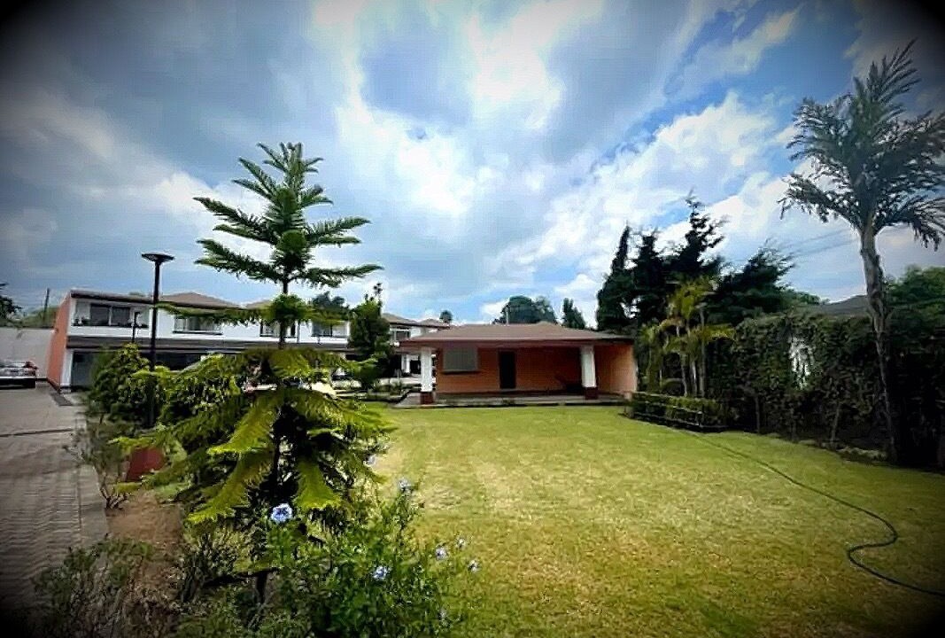 Photo of Outdoor in Zona 10