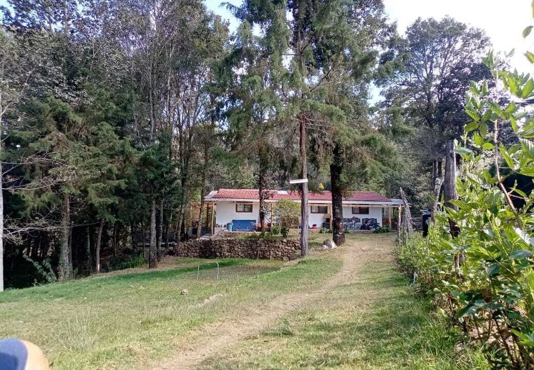 Photo of Others in Jaibalito