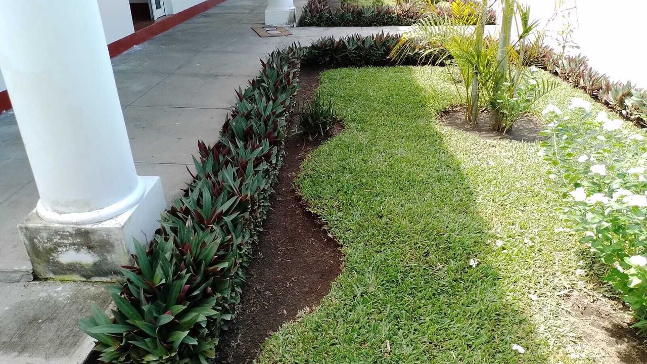 Photo of Outdoor in Monterrico