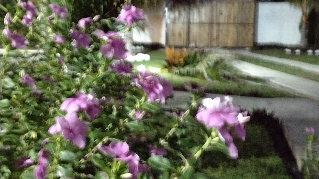 Photo of Outdoor in Monterrico