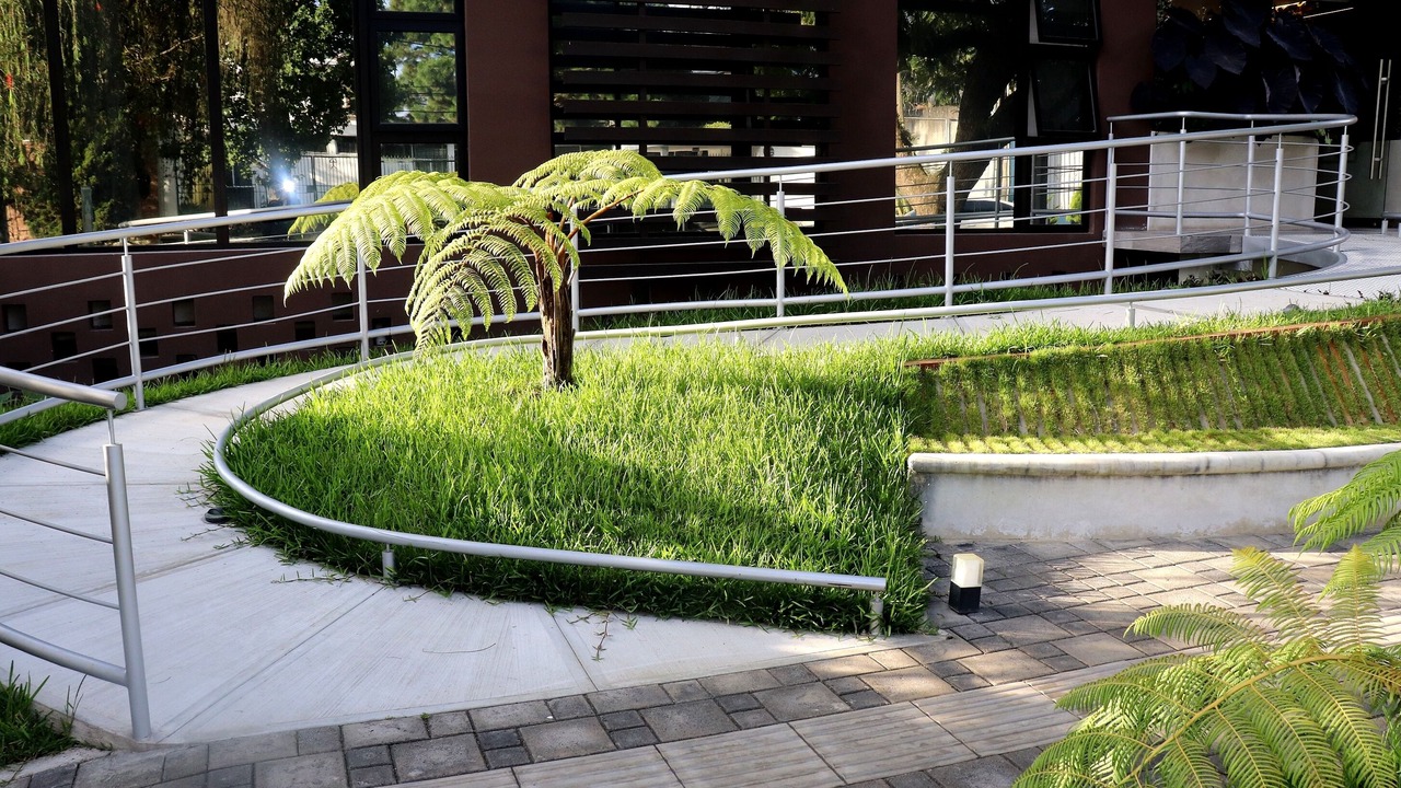 Photo of Outdoor in Zona 15
