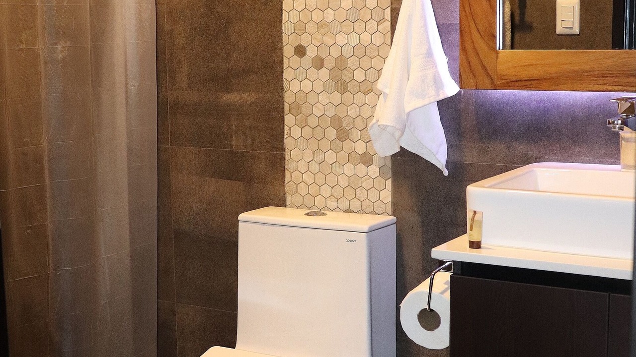 Photo of Bathroom in Zona 15
