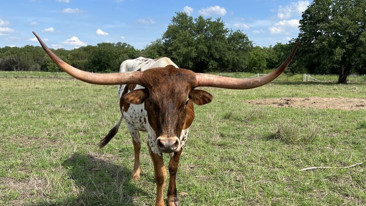 Photo of Others in Granbury