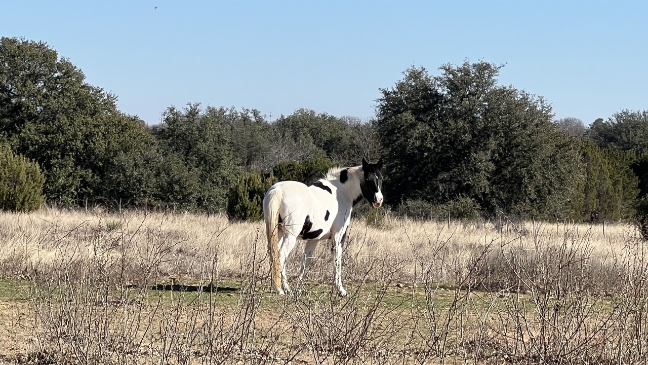 Photo of Others in Granbury