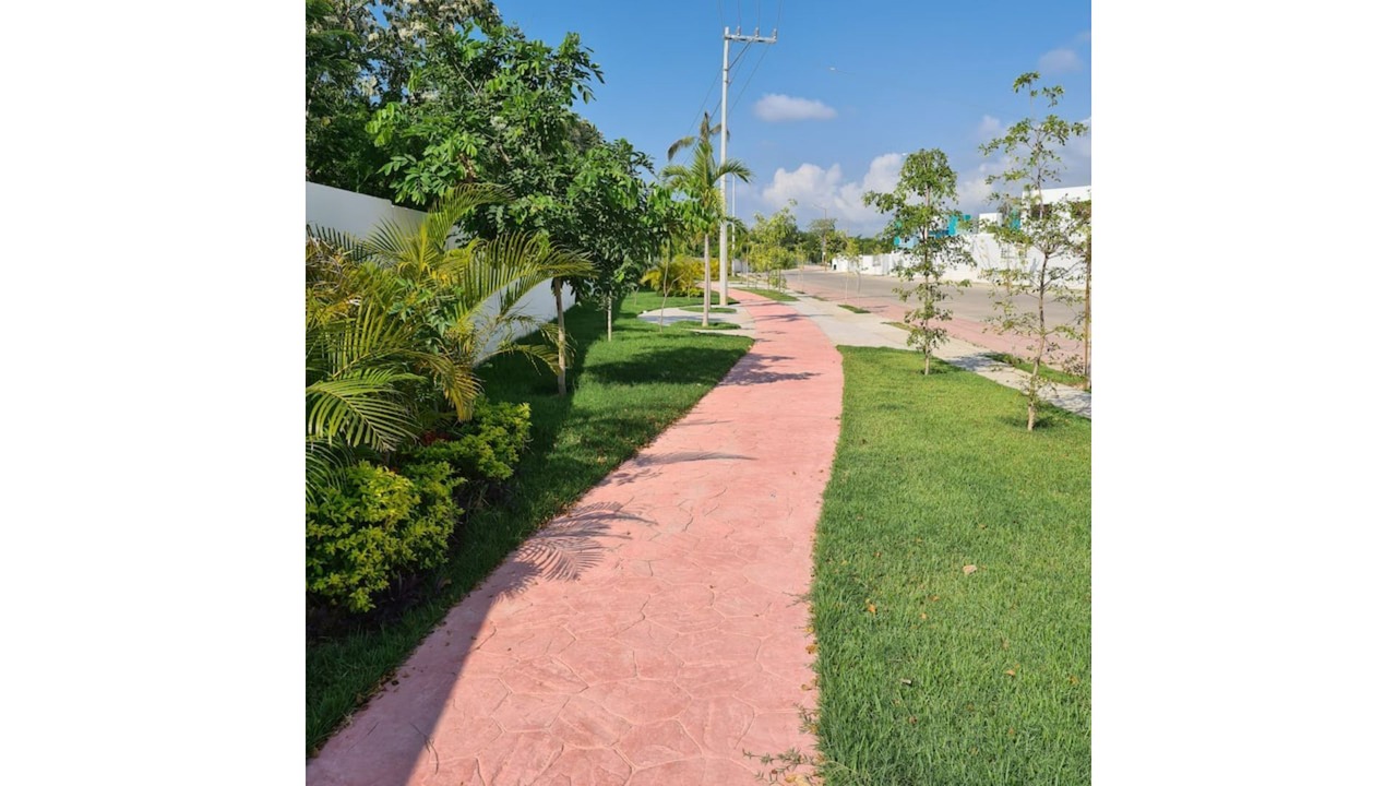 Photo of Outdoor in Valle de Banderas