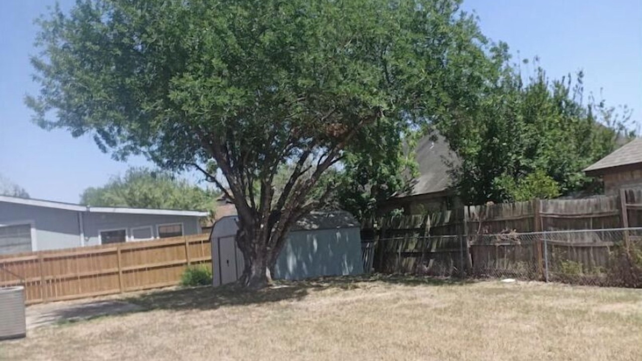 Photo of Outdoor in Pharr