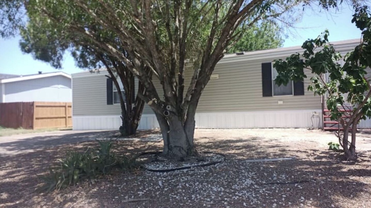 Photo of Outdoor in Pharr