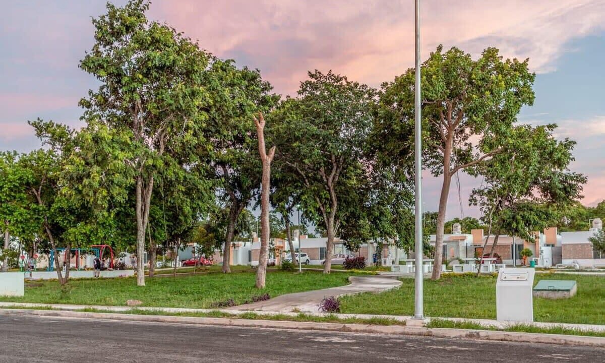Photo of Others in Merida