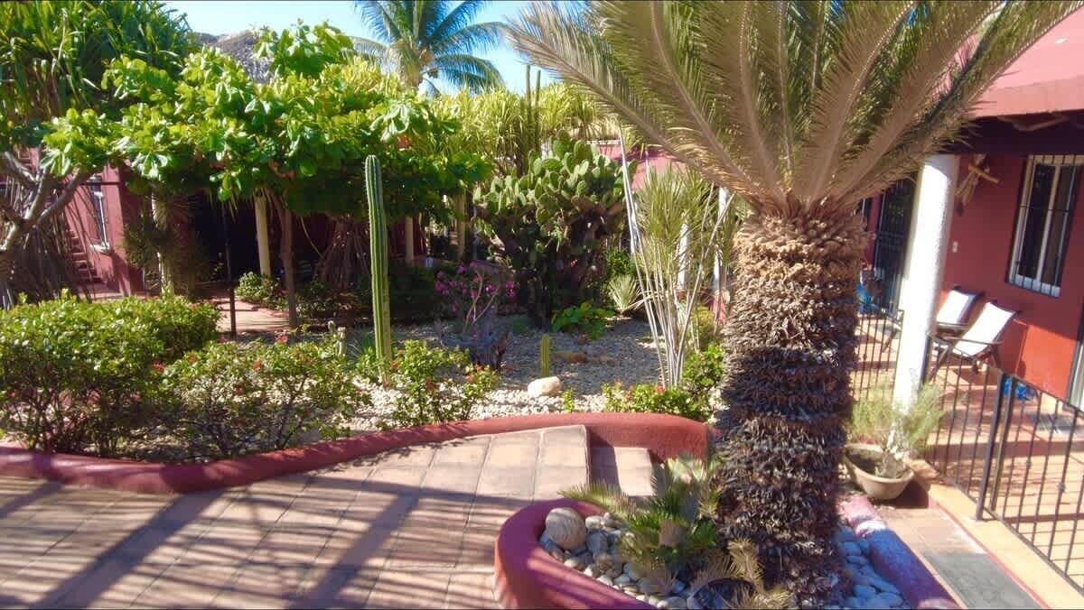 Photo of Outdoor in Hidalgo