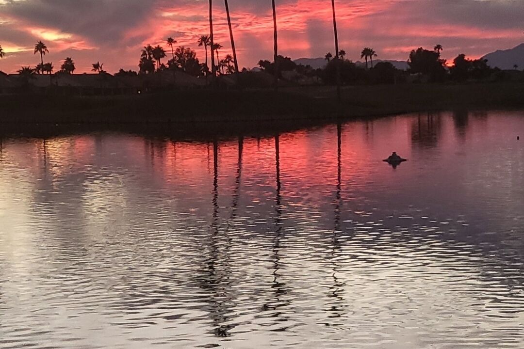 Photo of Outdoor in Chandler