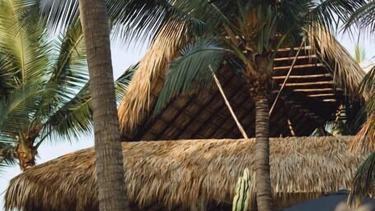 Photo of Others in Monterrico