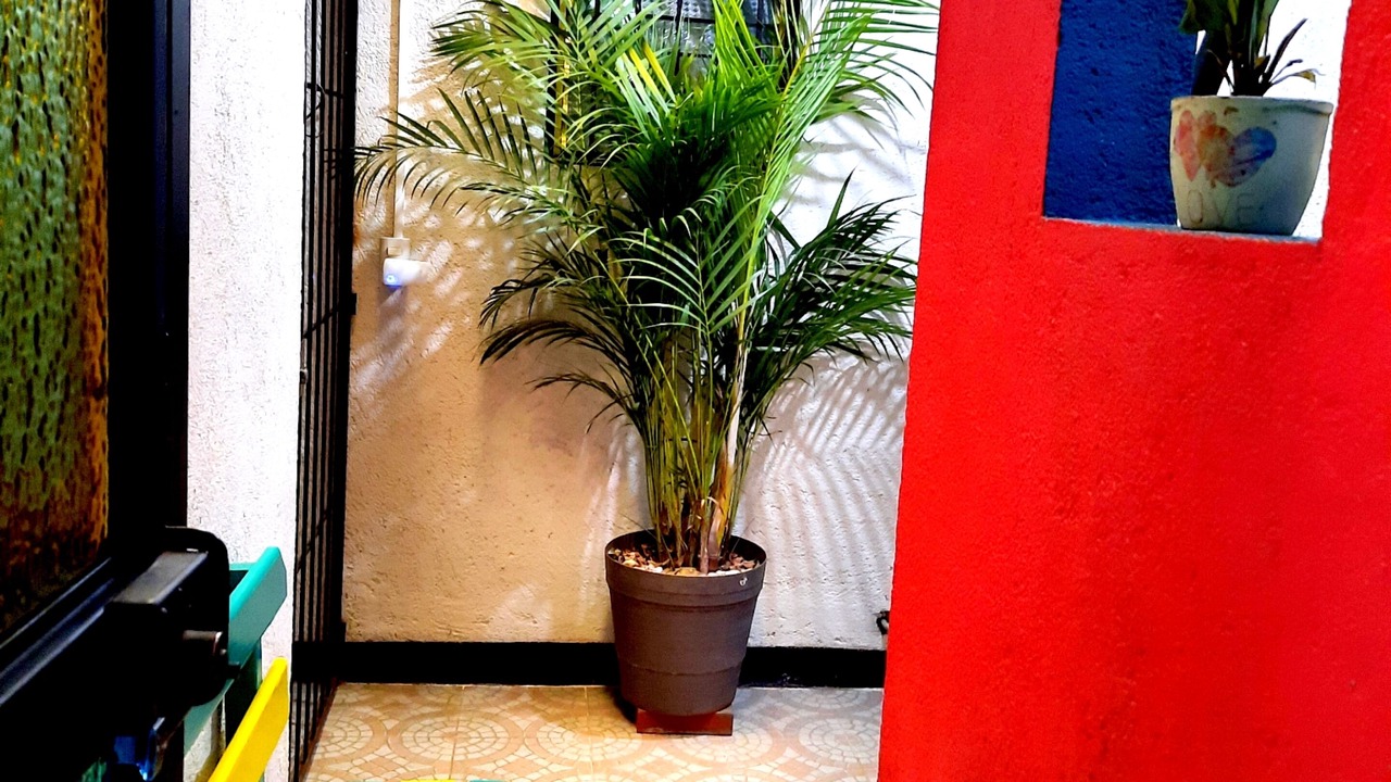 Photo of Others in Oaxaca