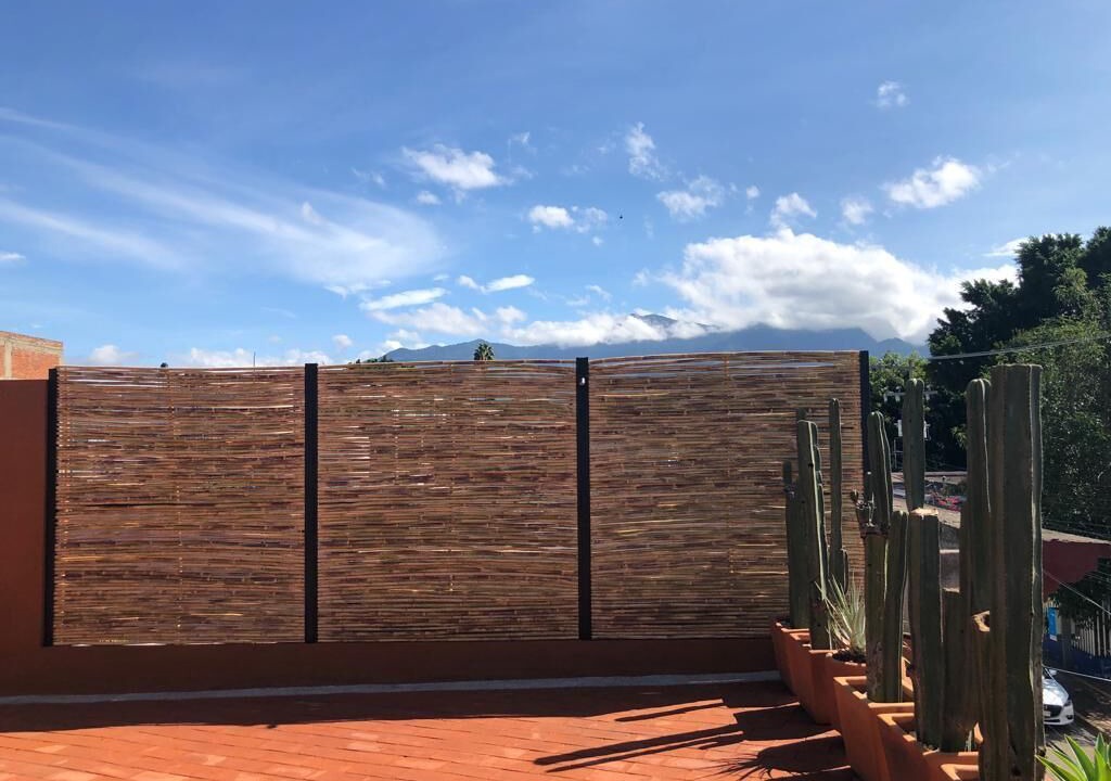 Photo of Outdoor in Centro