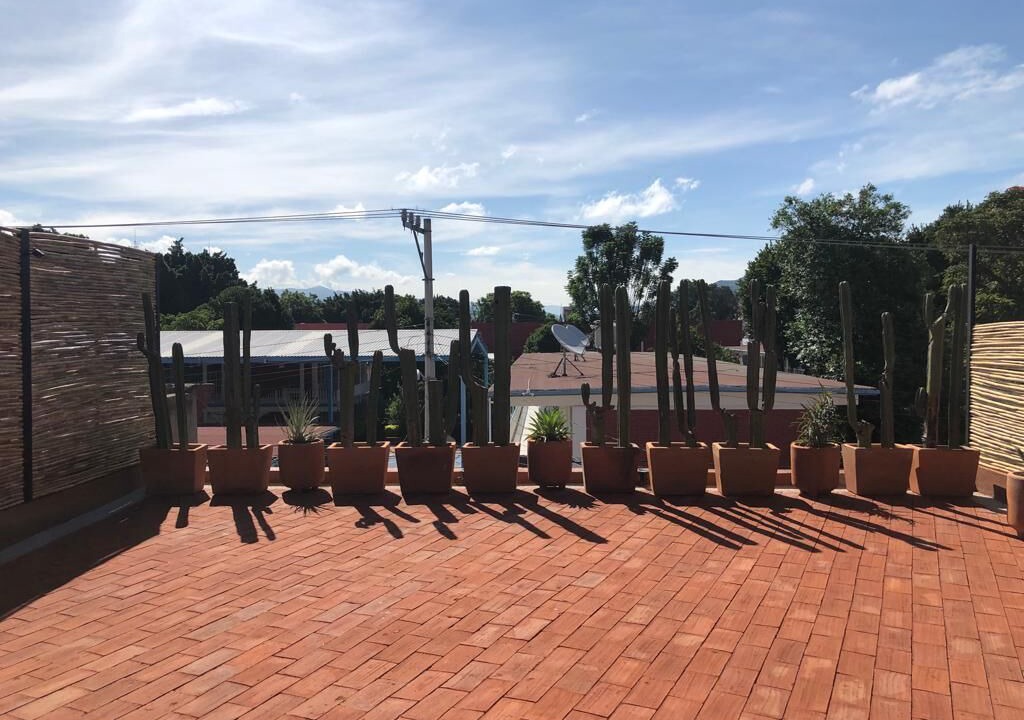 Photo of Outdoor in Centro