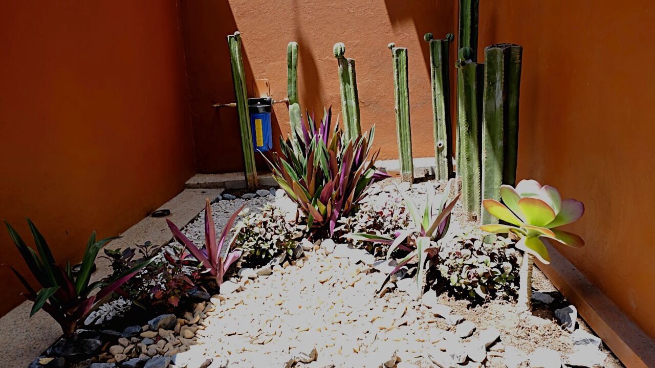 Photo of Outdoor in Centro