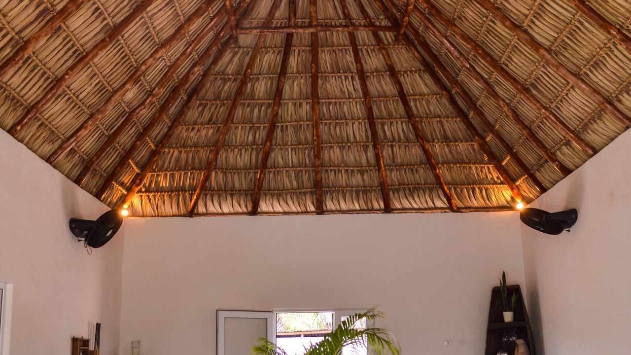 Photo of Outdoor in Monterrico