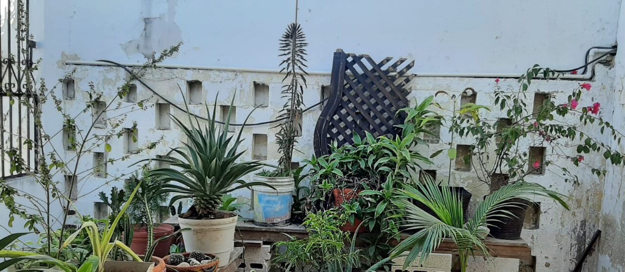 Photo of Outdoor in Merida