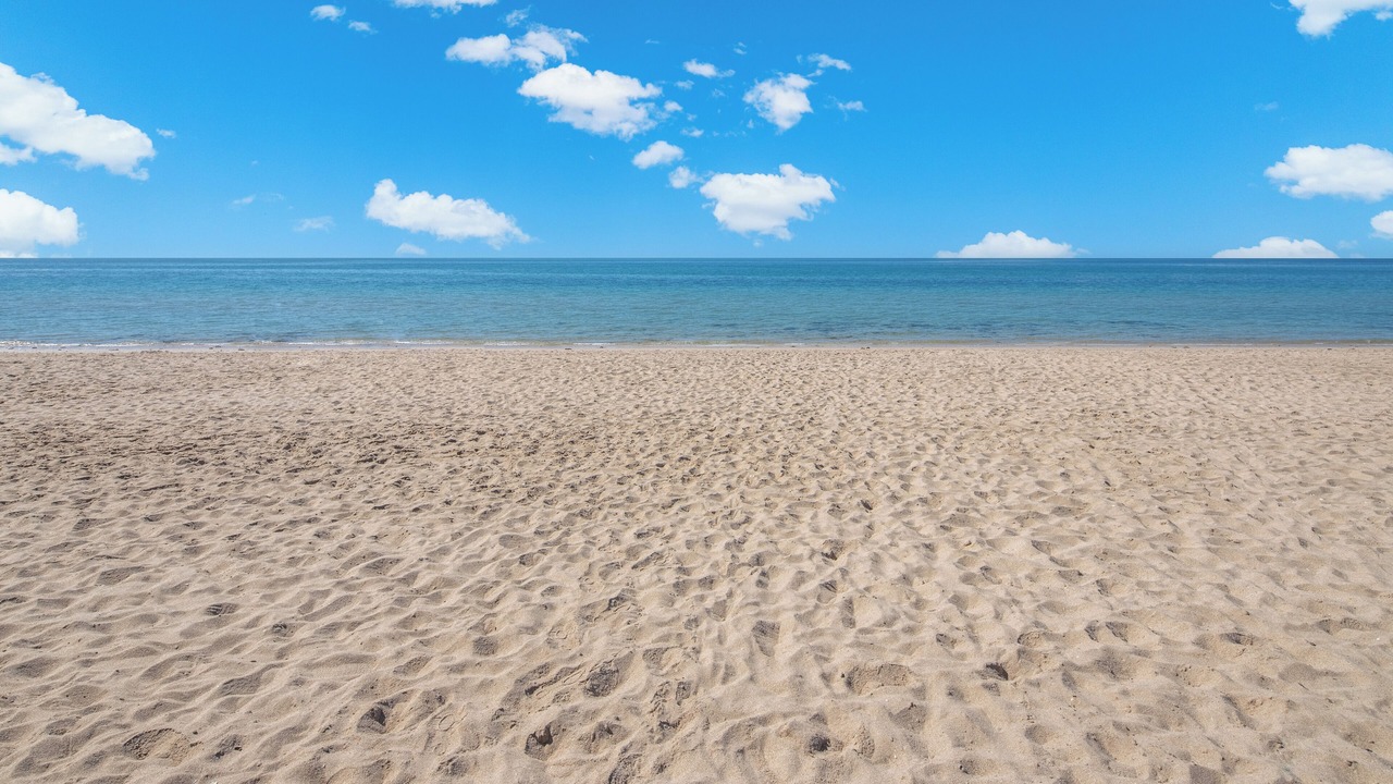 Photo of Others in Sandy Beach