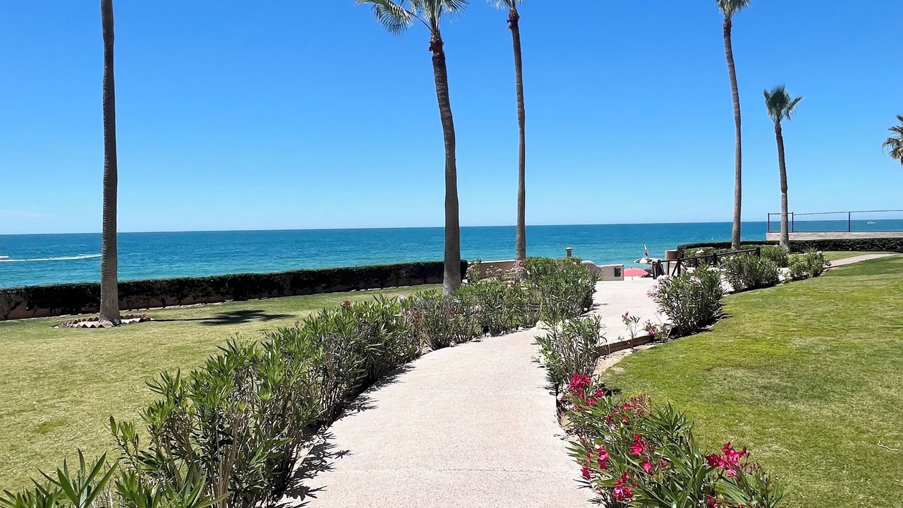 Photo of Others in Puerto Penasco