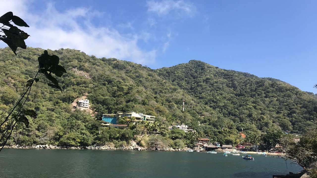 Photo of Others in Boca de Tomatlan