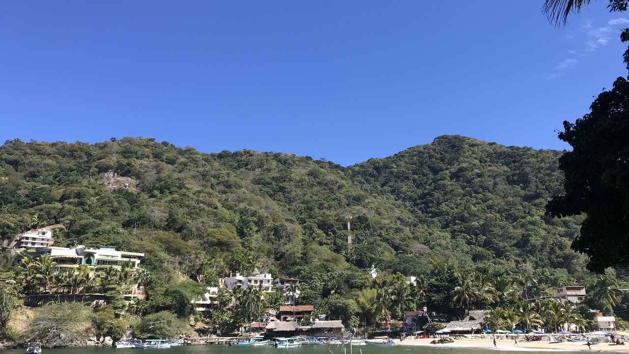 Photo of Others in Boca de Tomatlan