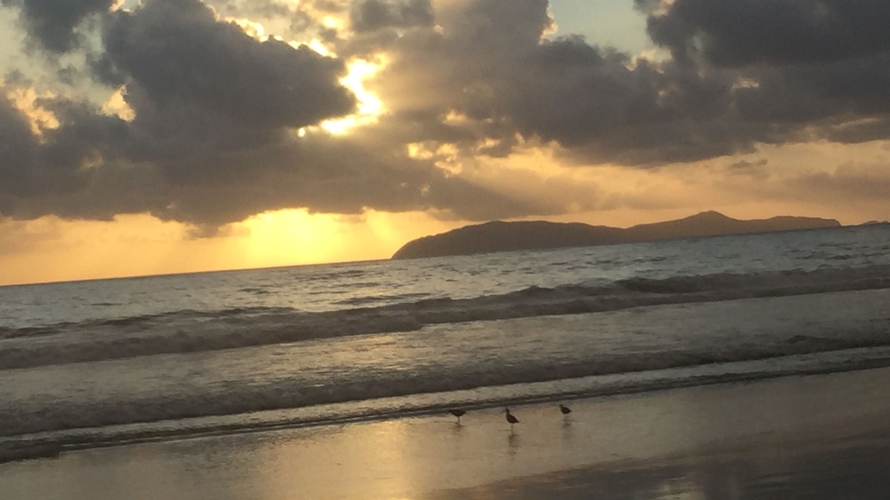 Photo of Others in Rosarito