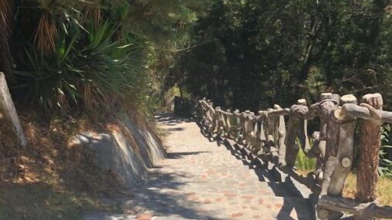 Photo of Outdoor in Santa Catarina Barahona