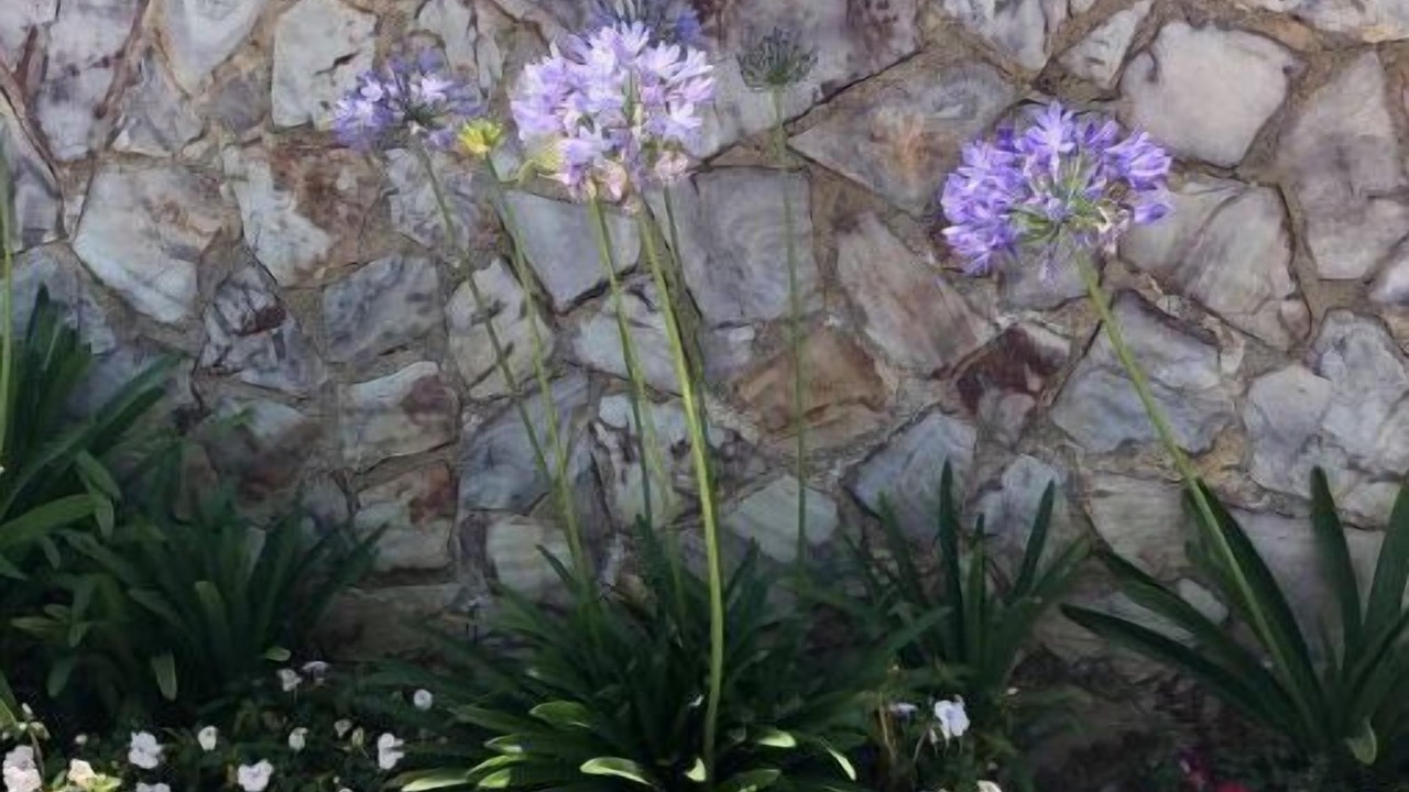 Photo of Outdoor in Santa Catarina Barahona