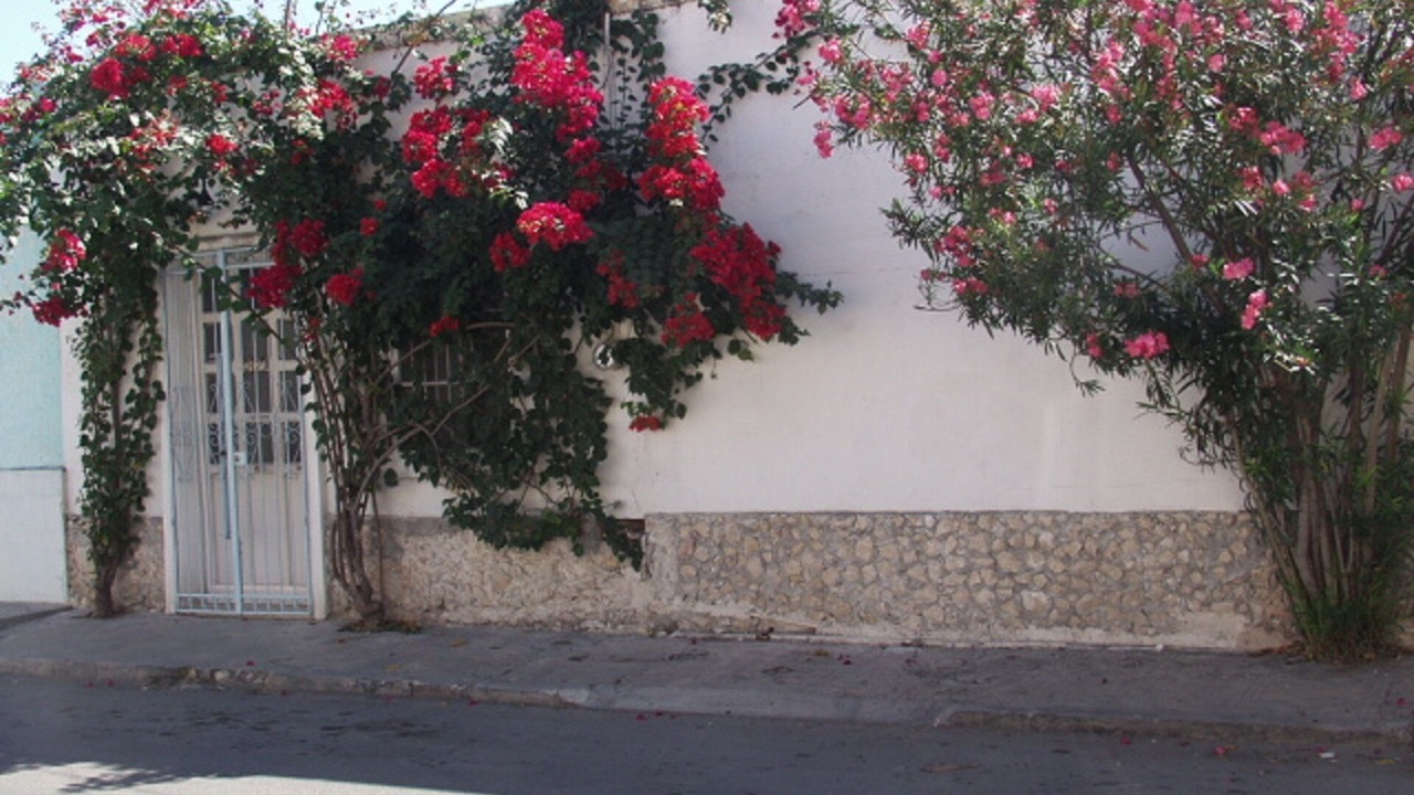 Photo of Outdoor in Barrio de Santiago