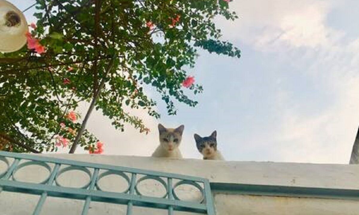 Photo of Outdoor in Barrio de Santiago