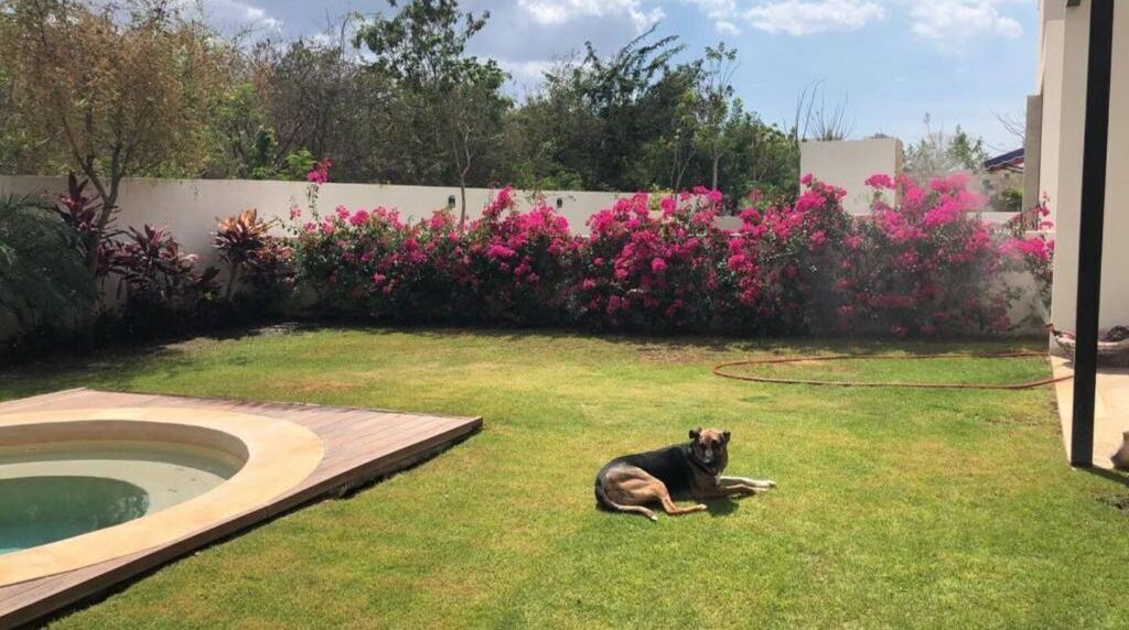 Photo of Outdoor in Merida
