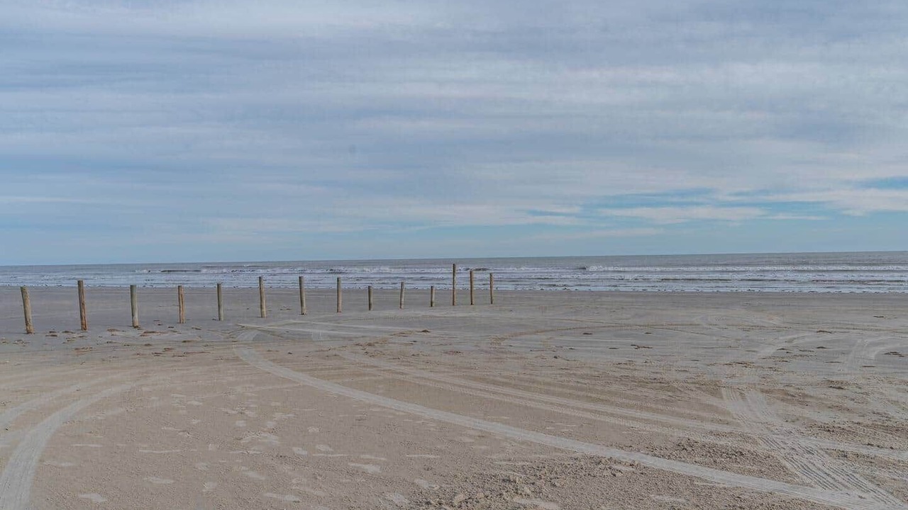 Photo of Others in Terramar Beach