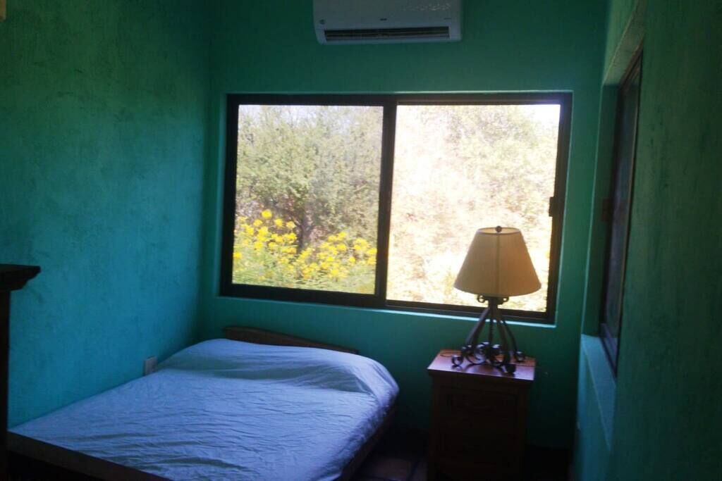 Photo of Others in Cabo Pulmo