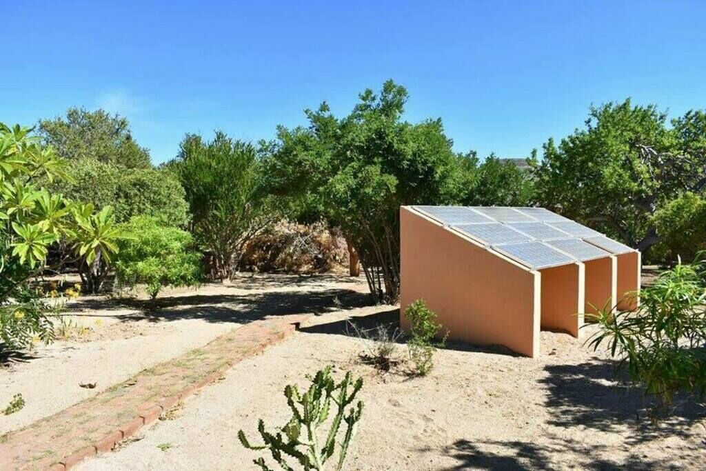 Photo of Others in Cabo Pulmo