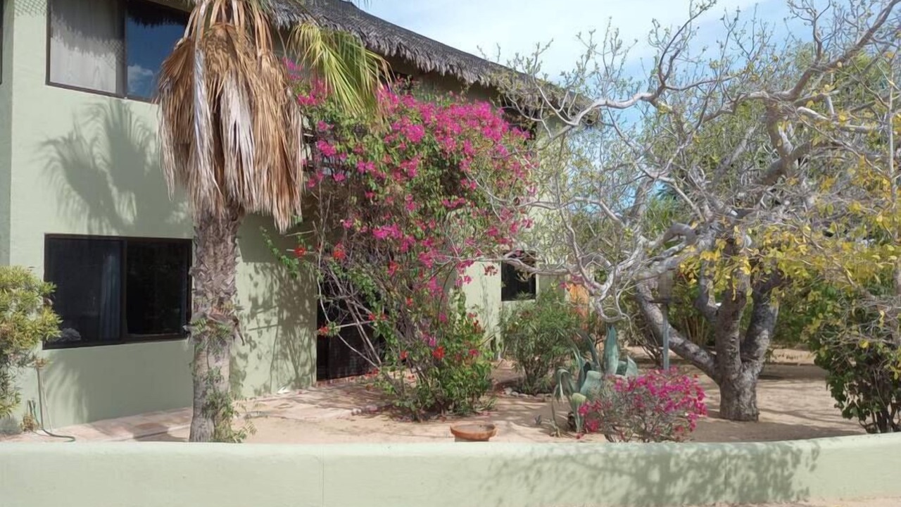 Photo of Outdoor in Cabo Pulmo