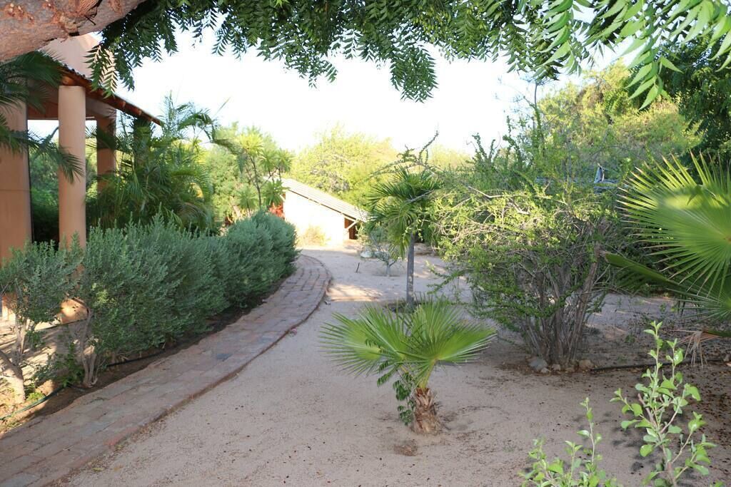 Photo of Outdoor in Cabo Pulmo