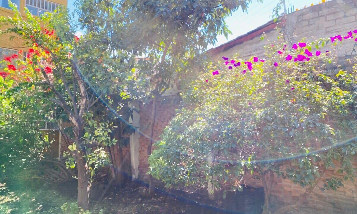 Photo of Outdoor in Downtown Queretaro