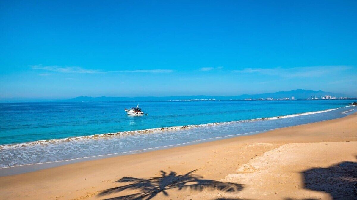 Photo of Others in Puerto Vallarta
