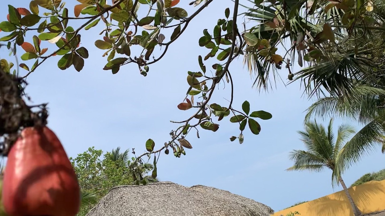 Photo of Outdoor in Iztapa