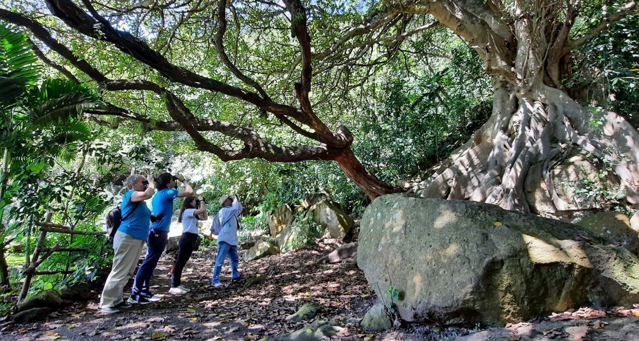 Photo of Outdoor in Panajachel