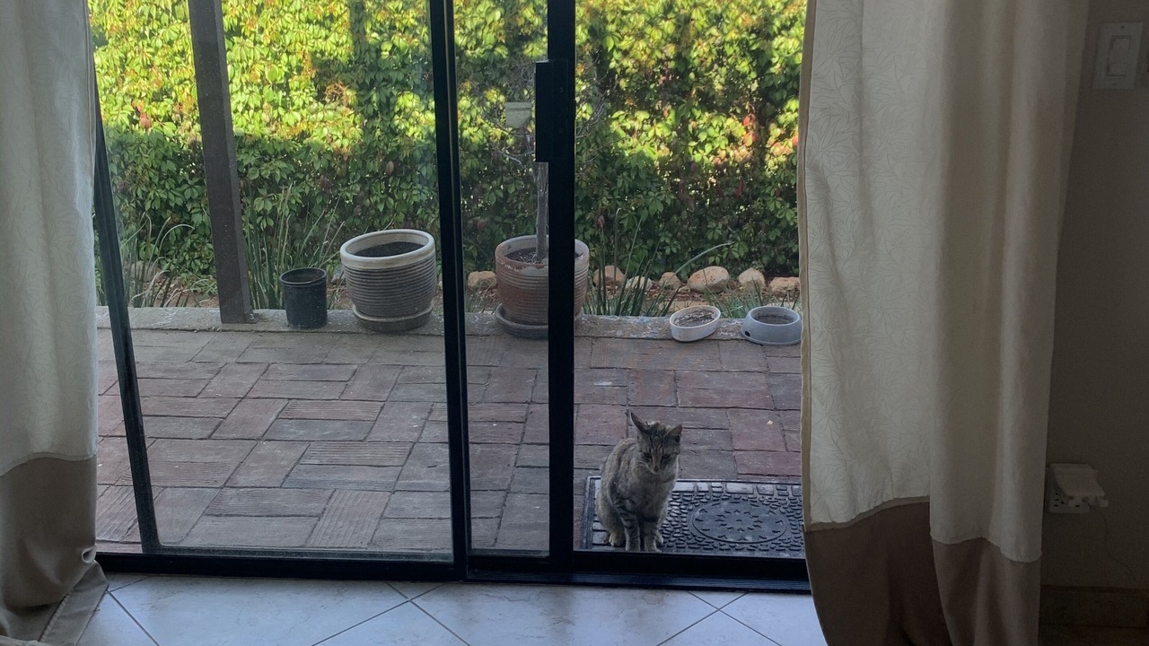 Photo of Others in Valle de Guadalupe