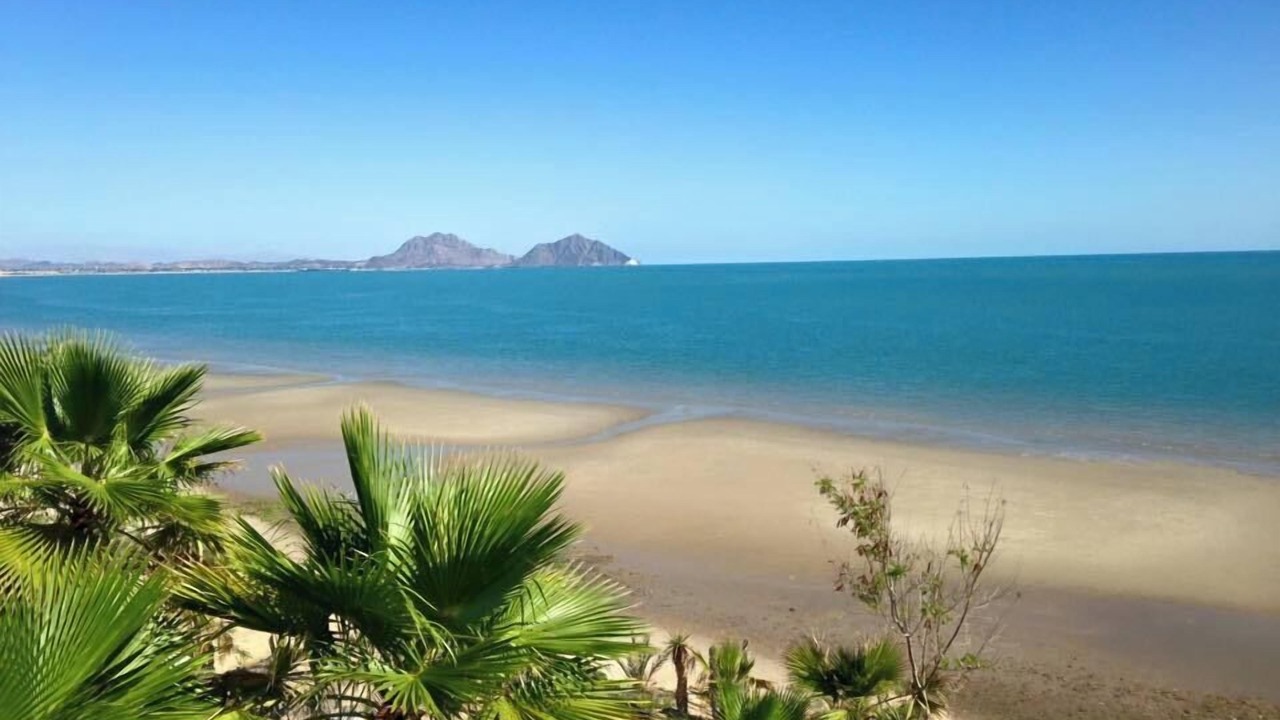 Photo of Others in San Felipe