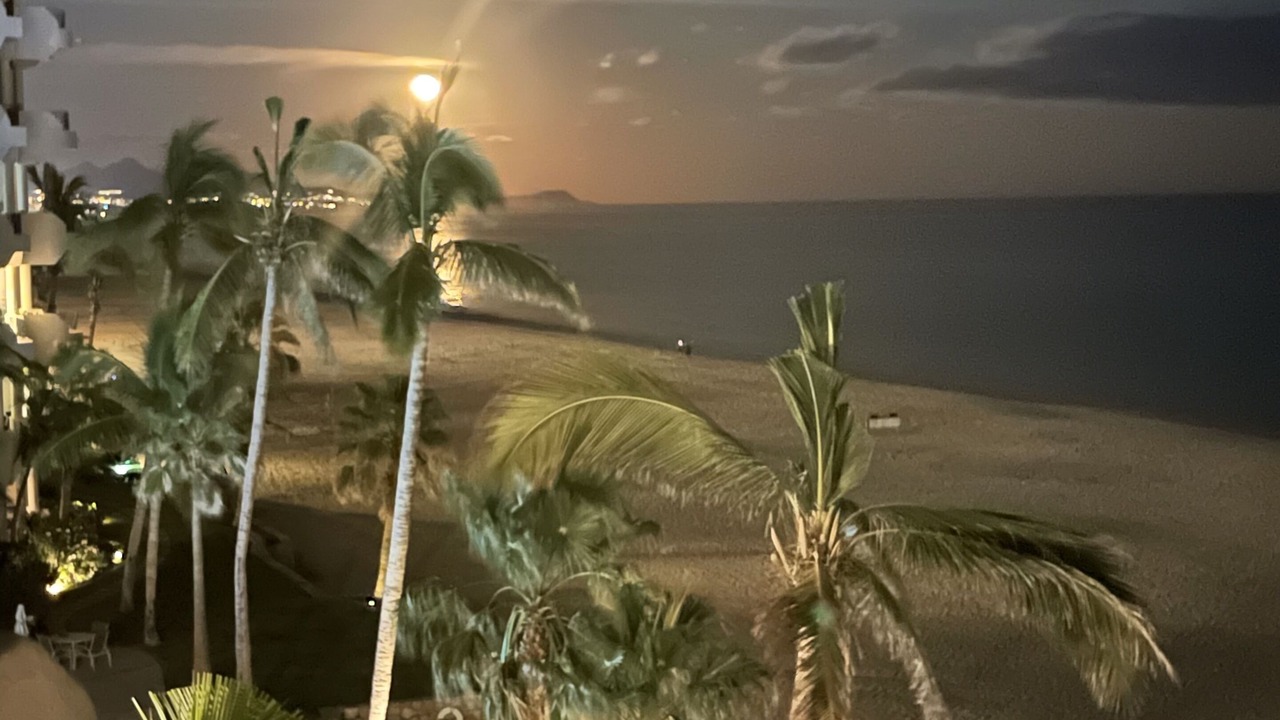 Photo of Others in San Jose del Cabo