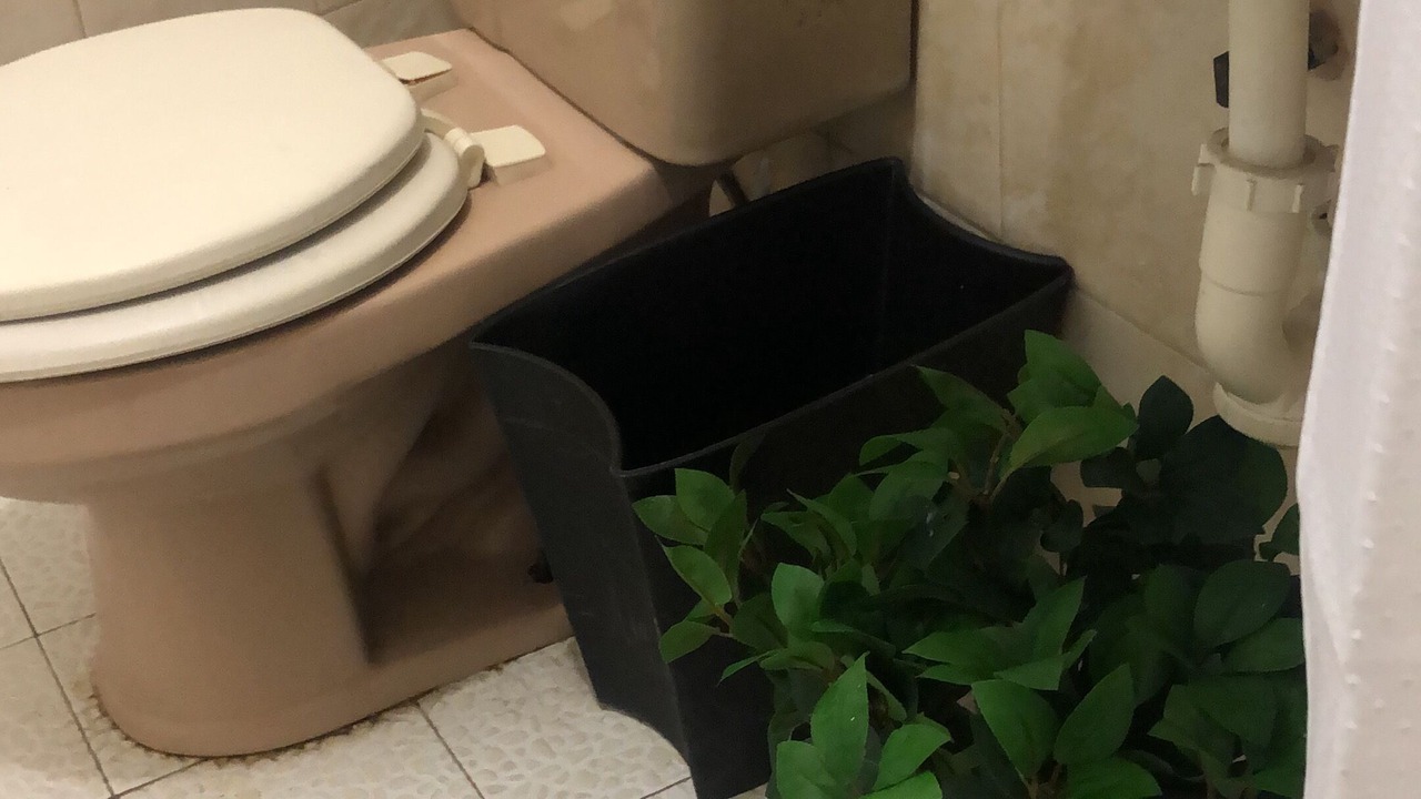 Photo of Bathroom in Hidalgo del Parral